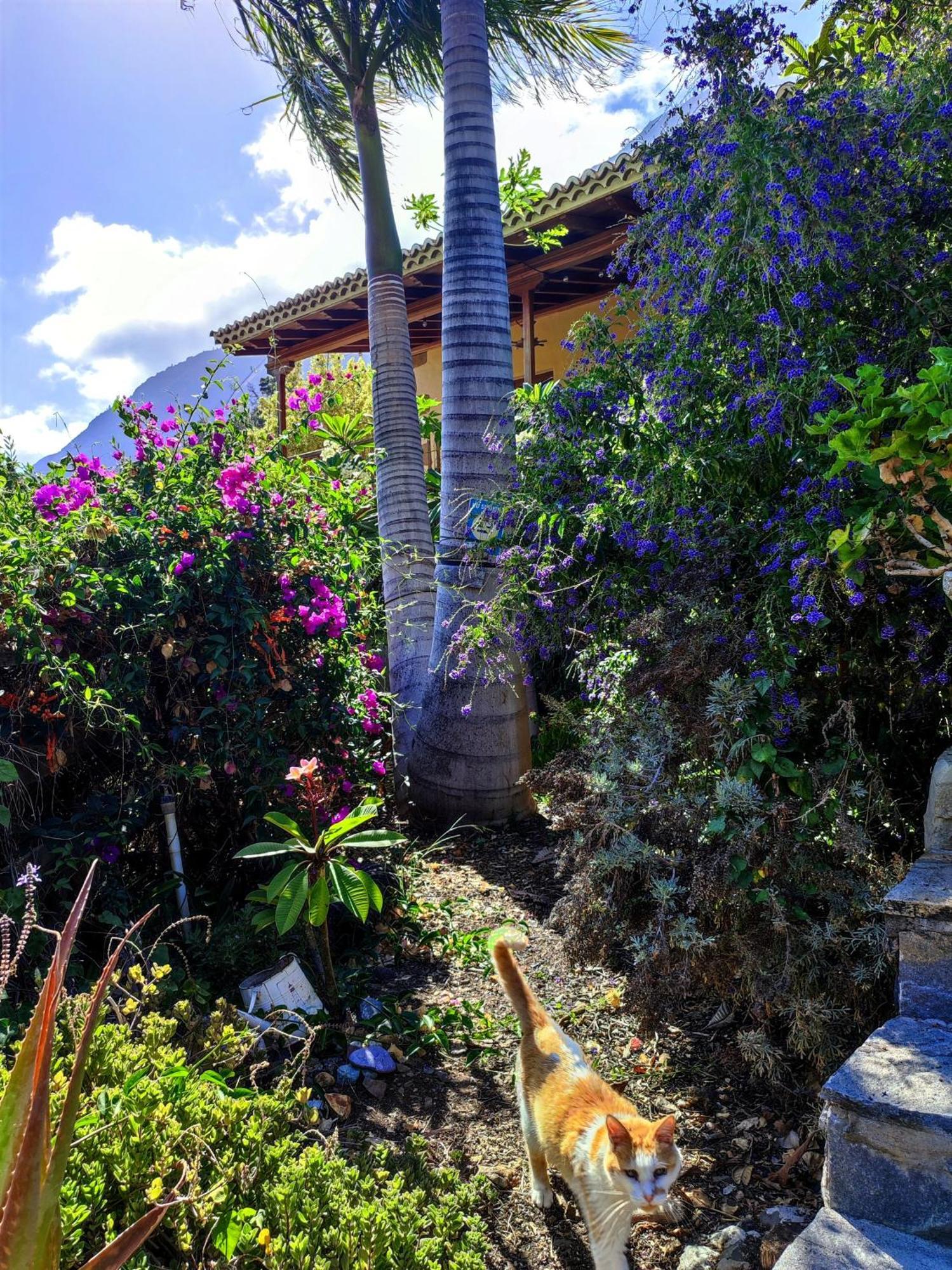 Hotel The Cradle Of The Moon, Rivendell El Paso Exterior foto
